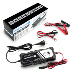 Ładowarka, prostownik automatyczny 12V / 24V