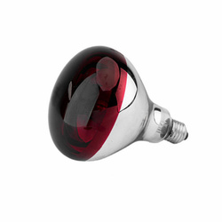 Żarówka promiennik podczerwieni lampa grzewcza kwoka dla kurcząt E27 150W