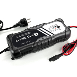 Ładowarka, prostownik automatyczny 12V / 24V