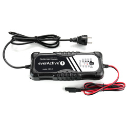 Ładowarka, prostownik automatyczny 12V / 24V