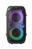 GŁOŚNIK BLUETOOTH FM LED RGB KARAOKE SINGER