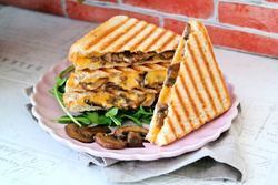 Toster opiekacz grill do kanapek Titanum PANINI