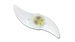 LAMPKA ROWEROWA LED NA SZPRYCHY ROWERU ASTERION