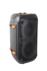 GŁOŚNIK BLUETOOTH FM LED RGB KARAOKE SINGER