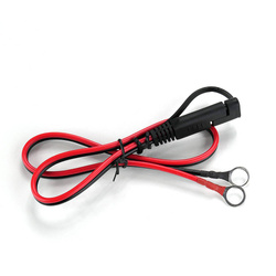 Ładowarka, prostownik automatyczny 12V / 24V
