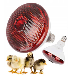 ŻARÓWKA PROMIENNIK PODCZERWIENI LAMPA GRZEWCZA KWOKA DLA KURCZĄT E27 175W